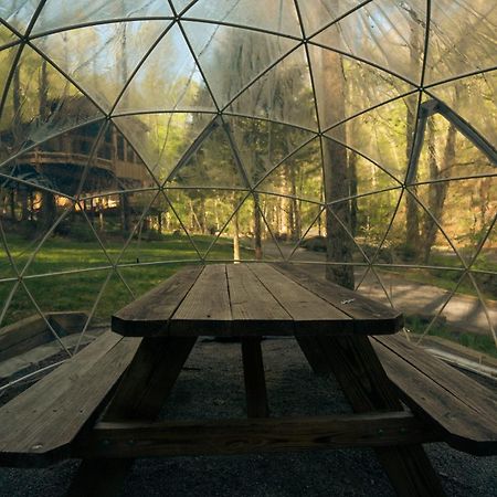 Villa The Dogwood In Treehouse Grove At Norton Creek Gatlinburg Exterior foto